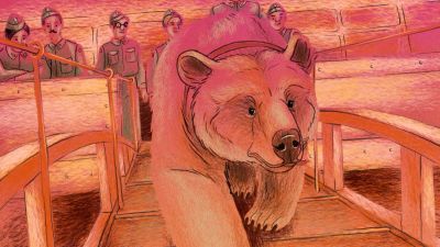A-Bear-Named-Wojtek-Still-C.jpg
