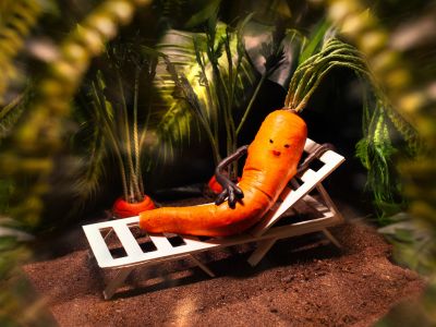 3-Carrotica.jpg