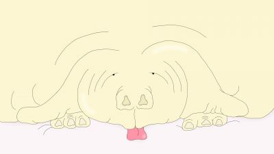 DOG2.jpg
