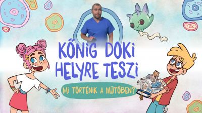 1-konig-mi-tortenik-a-mutoben.jpg