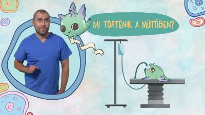 3-konig-mi-tortenik-a-mutoben.jpg