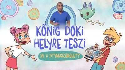1-konig-fitymaszukulet.jpg