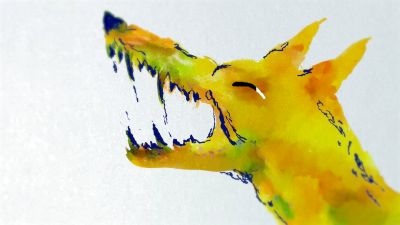 DISC-DOG-003.jpg